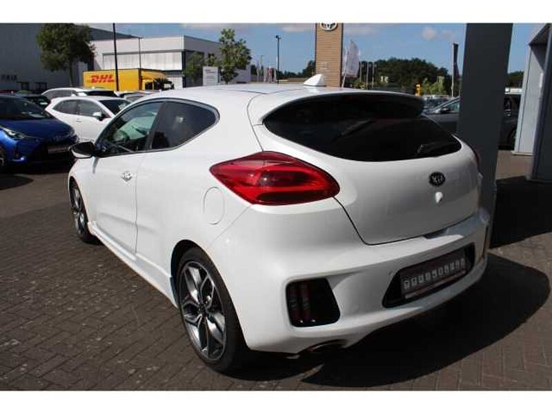 Kia ProCeed T-GDi (3T, 5 Sitze) 1.6 T-GDI GT-Track Manue Navi Xenon Kurvenlicht Mehrzonenkli